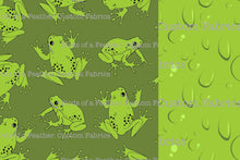 Friends with Frogs Project Panel
