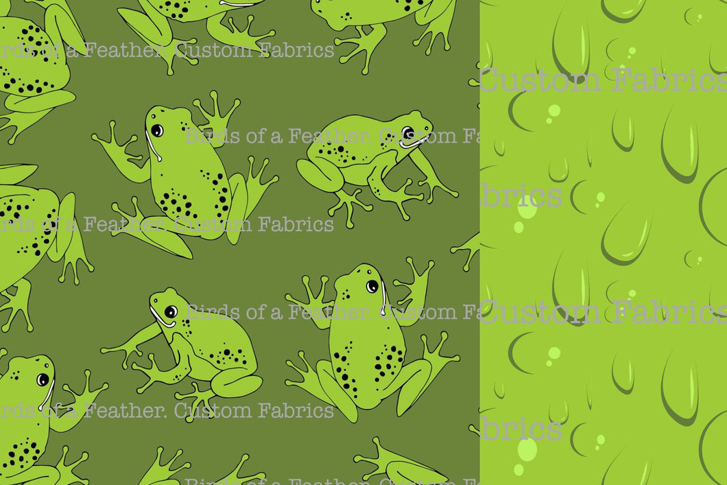 Friends with Frogs Project Panel